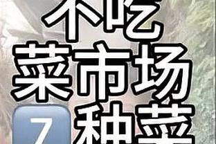 游刃有余！约基奇半场5中5轻松拿下10分14板9助的准三双